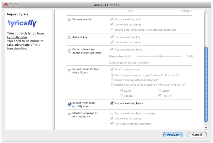 beaTunes lyrics import analysis options dialog