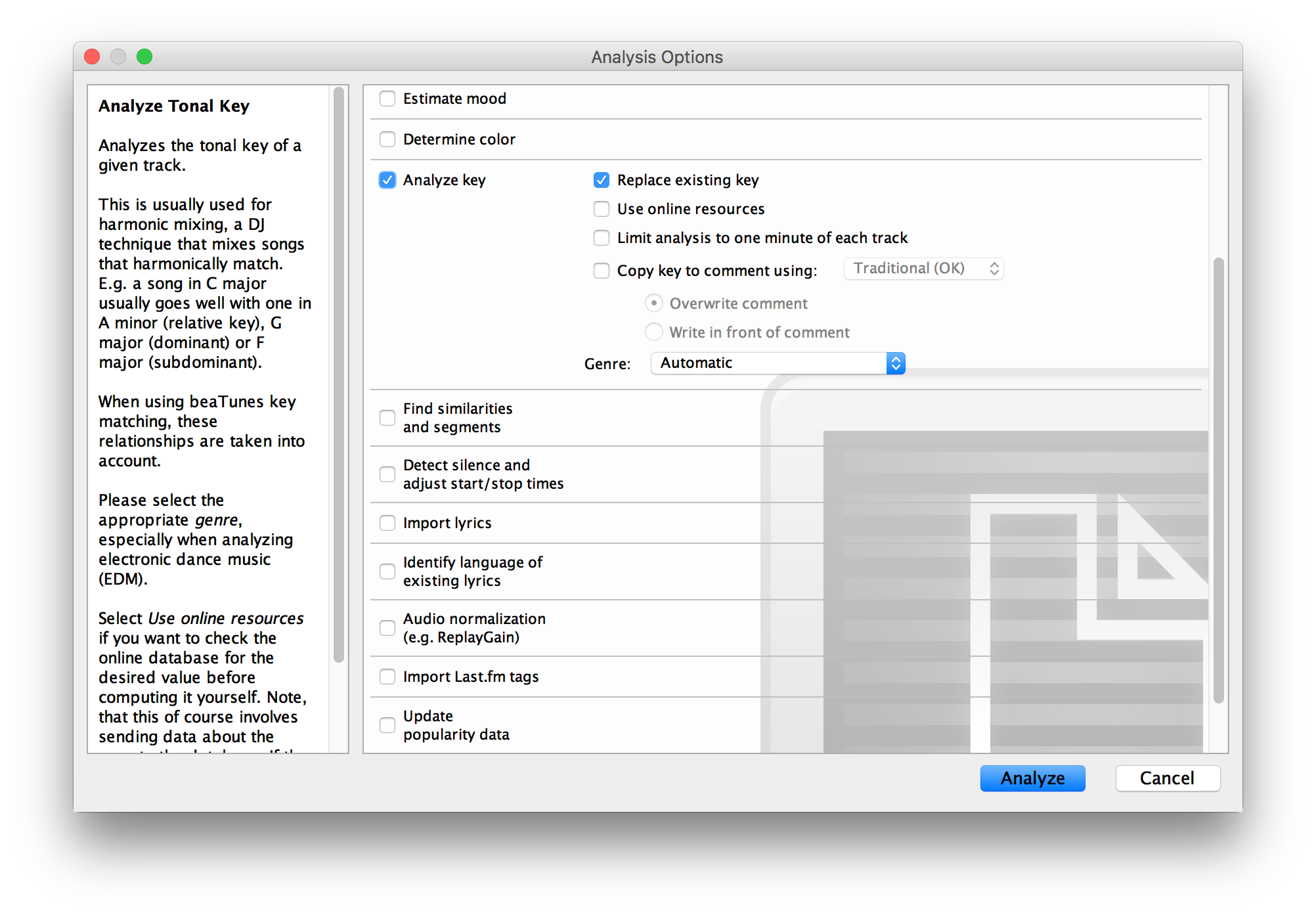 beaTunes key analysis options dialog